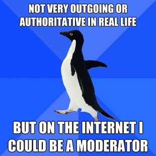 Socially Awkward Penguin