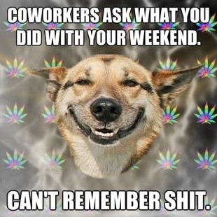 Stoner Dog