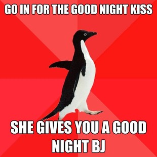 Socially Awesome Penguin