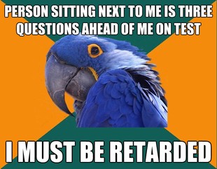 Paranoid Parrot