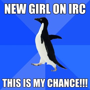 Socially Awkward Penguin