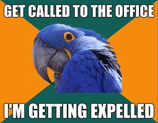 Paranoid Parrot