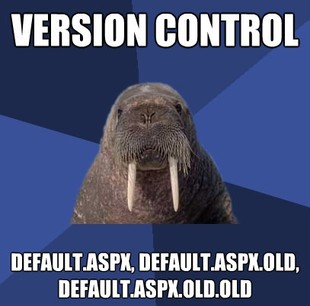Web Developer Walrus