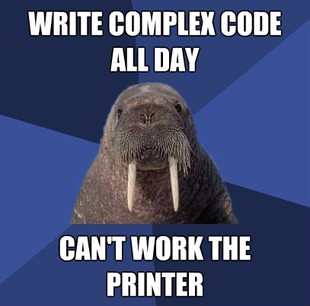Web Developer Walrus