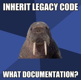 Web Developer Walrus