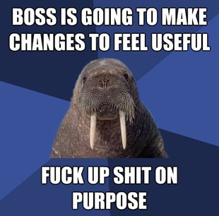 Web Developer Walrus