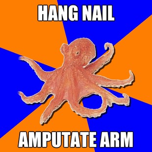 Online Diagnosis Octopus