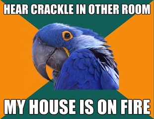 Paranoid Parrot