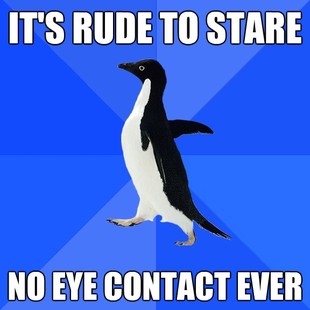 Socially Awkward Penguin