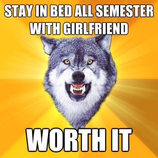 Courage Wolf