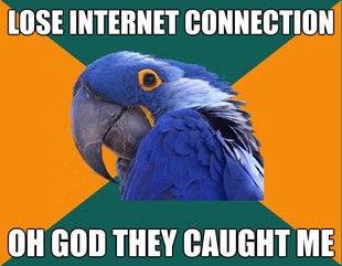 Paranoid Parrot