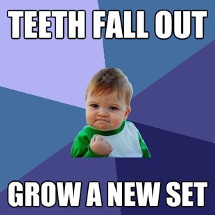 Success Kid