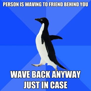 Socially Awkward Penguin
