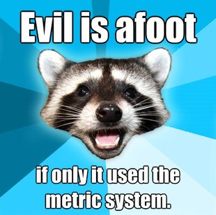 Lame Pun Coon