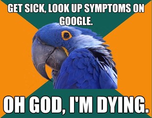Paranoid Parrot