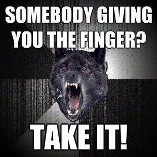Insanity Wolf