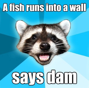 Lame Pun Coon