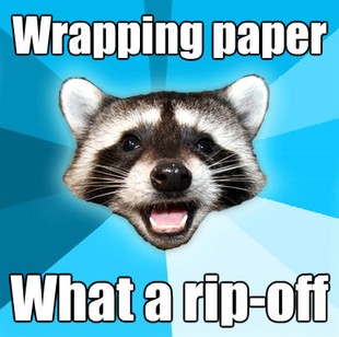 Lame Pun Coon