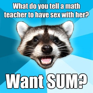Lame Pun Coon