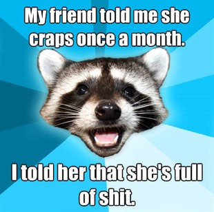 Lame Pun Coon