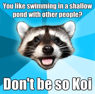 Lame Pun Coon