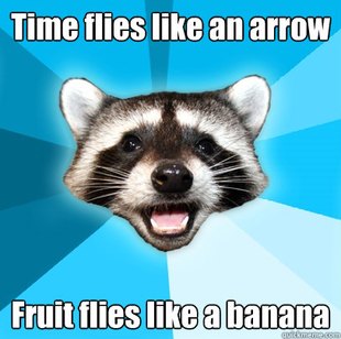 Lame Pun Coon