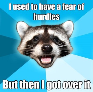 Lame Pun Coon