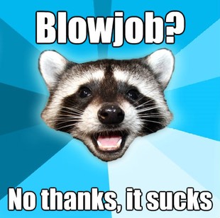 Lame Pun Coon