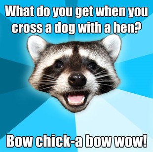 Lame Pun Coon