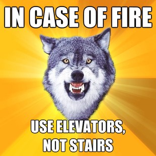 Courage Wolf