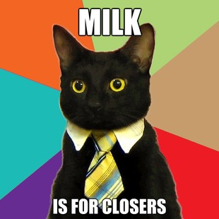 Business Cat