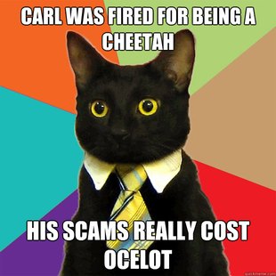 Business Cat