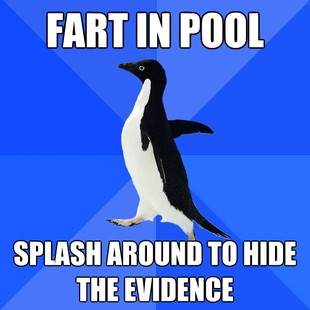 Socially Awkward Penguin