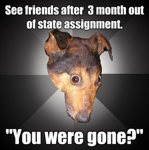Depression Dog