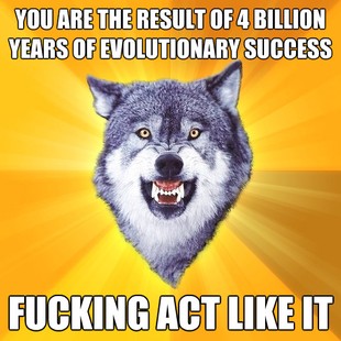   Meme on Make Your Own Courage Wolf Meme Using Our Meme Generator