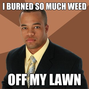 Successful Black Man