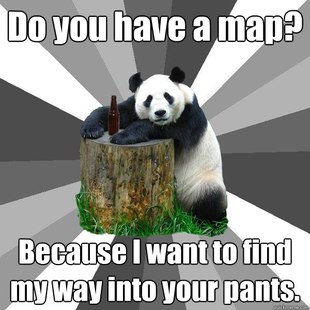Pickup-Line Panda