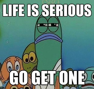 Serious fish SpongeBob