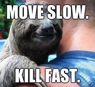 Suspiciously Evil Sloth