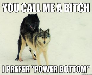 Insanity Wolf bangs Courage Wolf