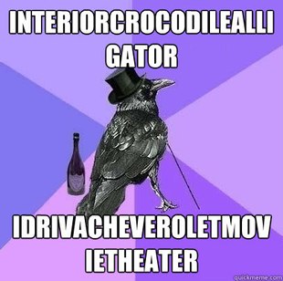 Rich Raven