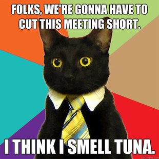 Business Cat