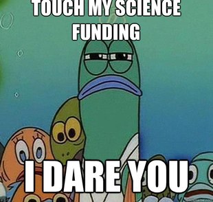 Serious fish SpongeBob