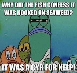 Serious fish SpongeBob