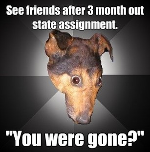 Depression Dog