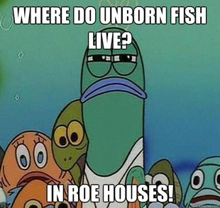 Serious fish SpongeBob