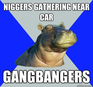 Skeptical Hippo