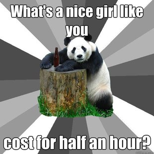Pickup-Line Panda