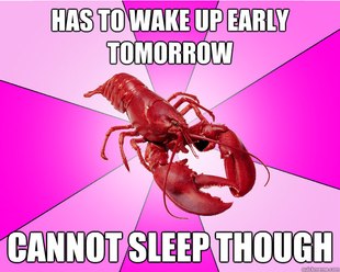 Long-term relationship Lobster