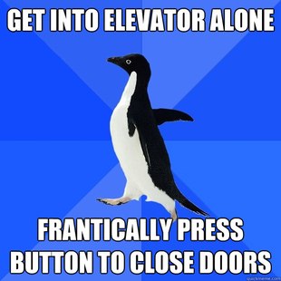 Socially Awkward Penguin